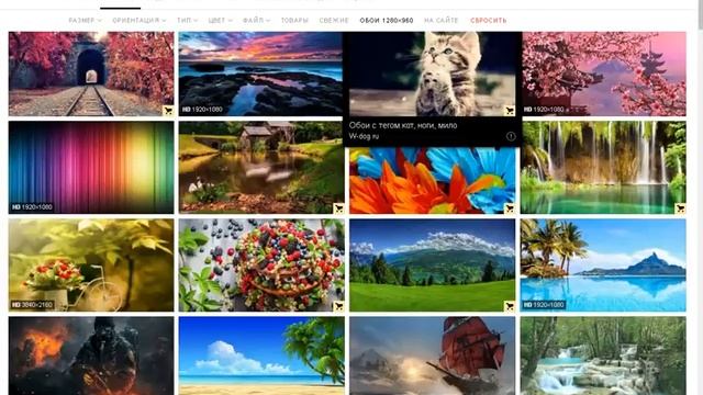 Как скачать фотографии из Яндекса смотреть онлайн