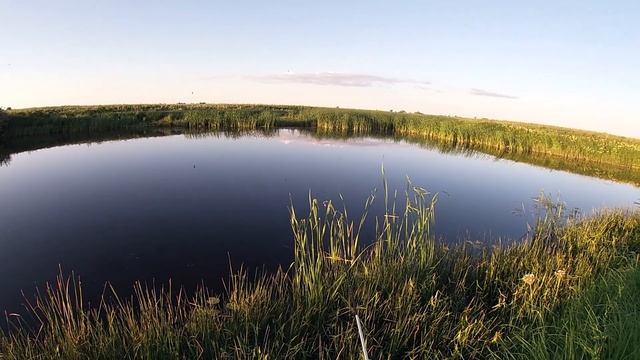 Неожиданно поймал Трофей. Рыбалка 2020. смотреть онлайн