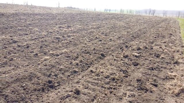 Подготовка целины под подсолнух. Культивация КПЭ-3,8 смотреть онлайн