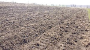 Подготовка целины под подсолнух. Культивация КПЭ-3,8