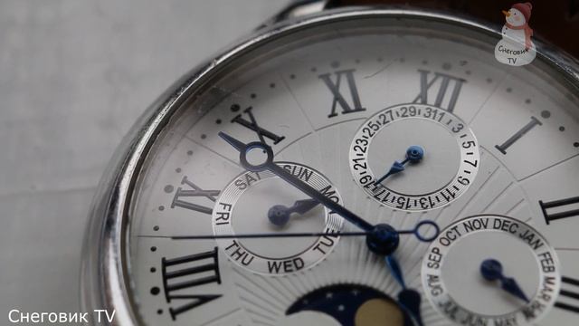 ТОП 12 РАСТЕНИЙ, которые защитят Вас от НАСЕКОМЫХ смотреть онлайн