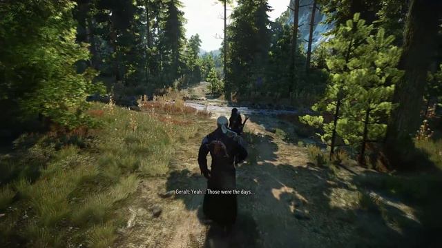 The Witcher 3 - Changed dialogues at Freya's Garden, if you already killed Morkvarg смотреть онлайн