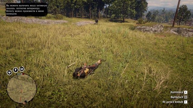 Red Dead Redemption 2 такого ещё не видел грифер ob_4me смотреть онлайн