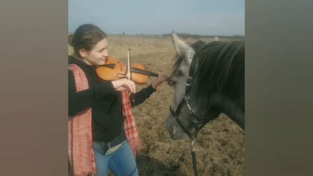 Фаир знакомится со скрипкой