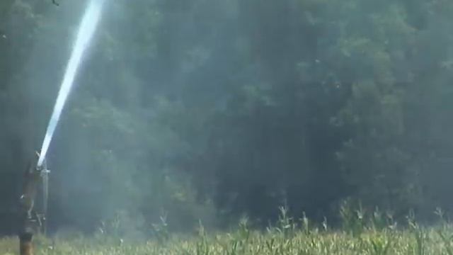 Georgia Farmer Sets New State Corn Yield Record смотреть онлайн