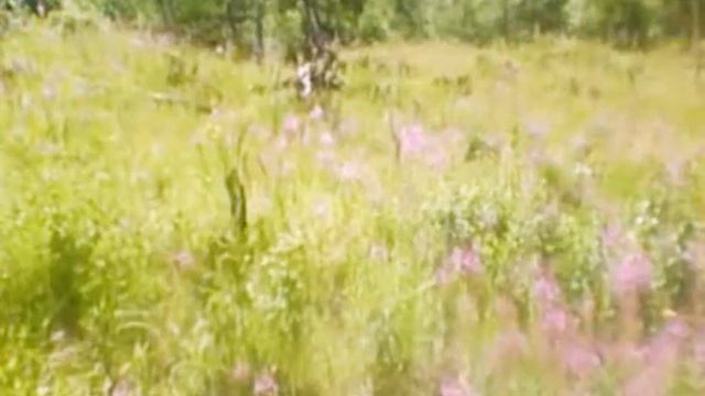 Горы Эльбрус смотреть онлайн