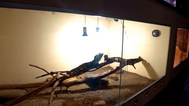 БАБА ФРОСЯ - АСТРАХАНЬ - СЕНТЯБРЬ 2019 год смотреть онлайн