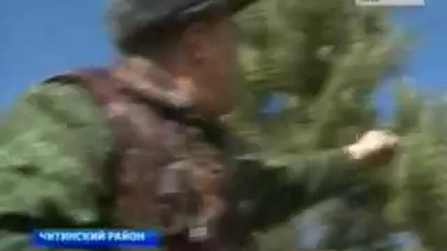 сосны восстановление смотреть онлайн