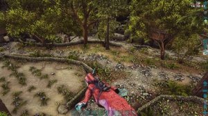 Редкие цветы (Rare Flower), ARK: Survival Evolved карта Lost Island (Затерянный остров)