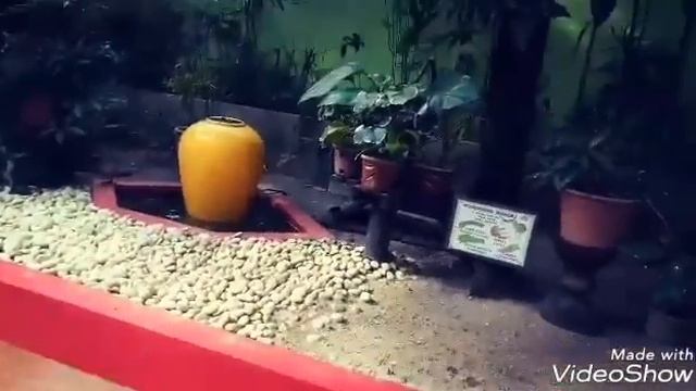 Достопримечательность острова Лангкави (langkawi) : Wildlife Park. Парк дикой природы.