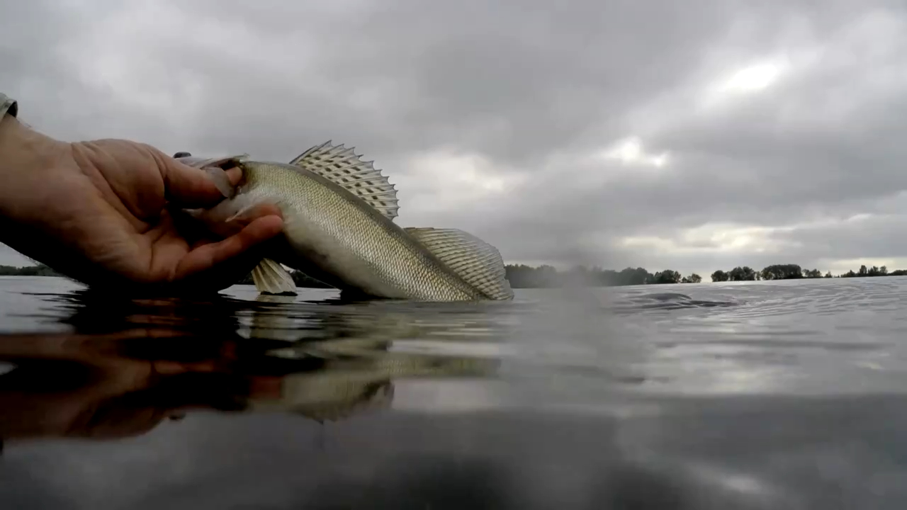 Рыбалка на микроджиг. Остров Средний. Самара. смотреть онлайн
