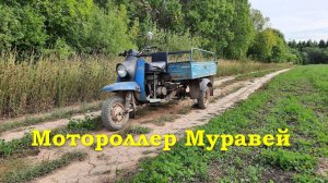 Мотороллер Муравей