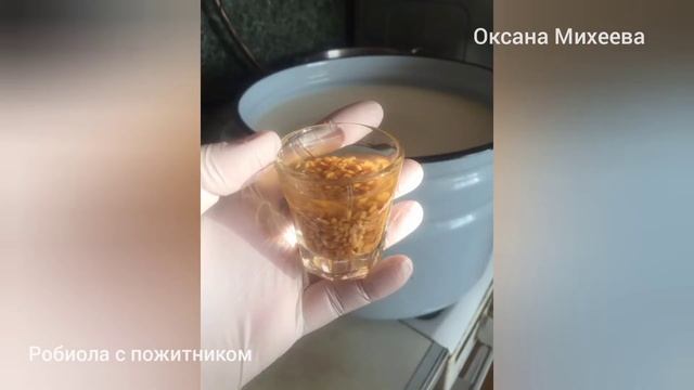 Сыр РОБИОЛА с пожитником.