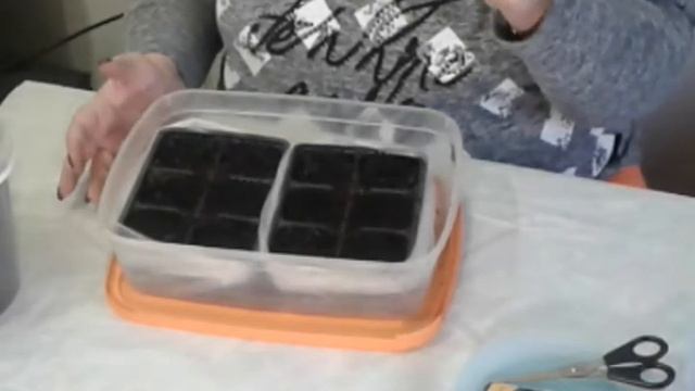 Посев семян сладкого перца Отелло по горячей земле смотреть онлайн