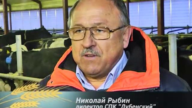 Директор СПК "Дубенский" Николай Рыбин смотреть онлайн