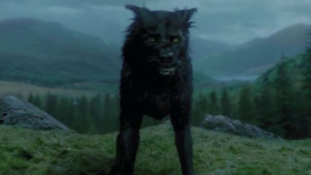 What Would Marauder Sirius Black See in the Mirror of Erised? - Harry Potter Theory смотреть онлайн