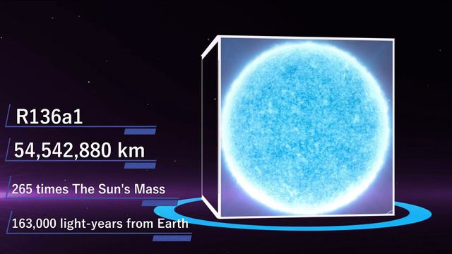 Universe Size Comparison - 2021