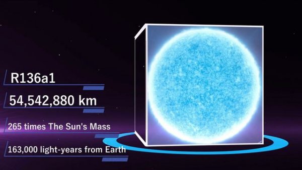 Universe Size Comparison - 2021