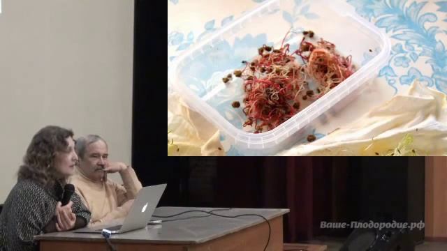 Работа на даче весной и летом смотреть онлайн