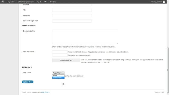 SMS Wordpress - Client Stats for Users смотреть онлайн