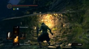 Фарм душ в Dark Souls [Сад темных корней]