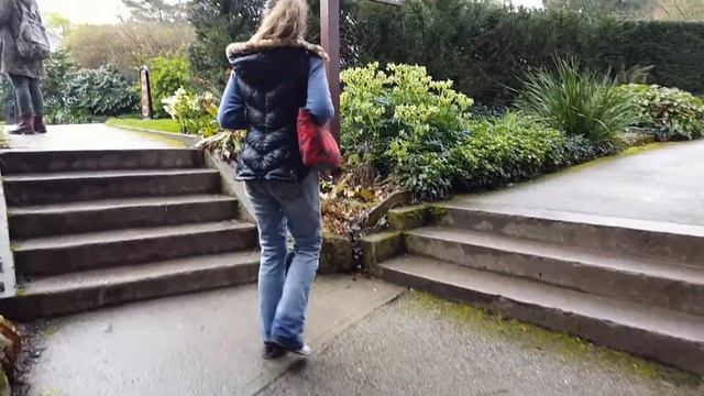 IRELAND - Blarney Castle смотреть онлайн