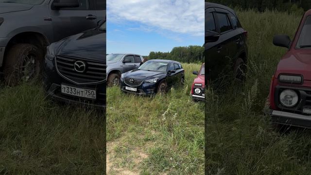 Это было Волнительно Ауди Готовиться