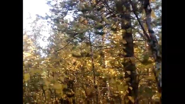 Рыба-кит. смотреть онлайн