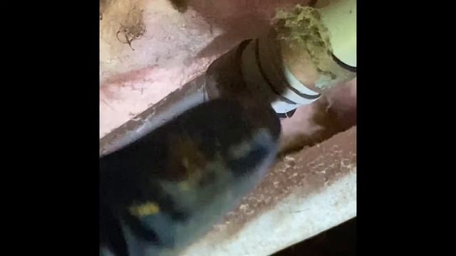 Crawl Space Evaluation смотреть онлайн