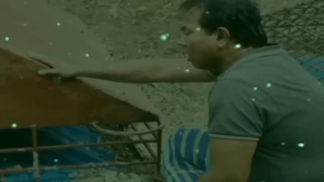 প্রবাসী শাহা আলমের সুখের সংসার নিল কাড়িয়া || দেখিলে পরান যায় উড়িয়া অন্তর ছোঁয়া বিচ্ছেদ গান || смотреть онлайн