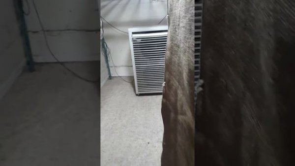 Химчистка ковров SANITAR (Сушка ковров в любую погоду)