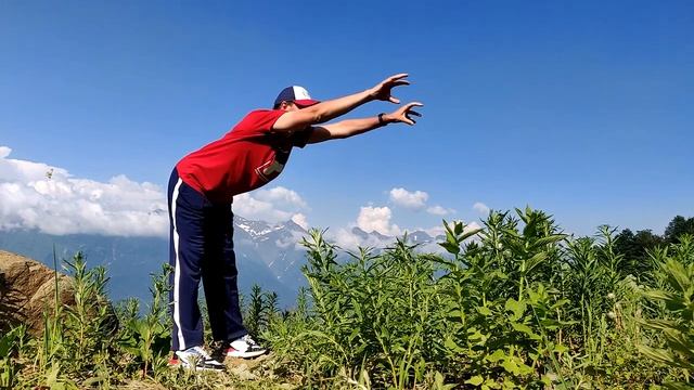 Приглашаю на цигун в Ботанический сад смотреть онлайн