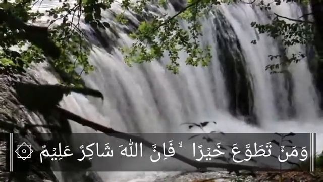 Tellawat Quran Best  Voice|Beautiful Quran Recitation||Quran Recitation Really Beautiful Tellawat,2