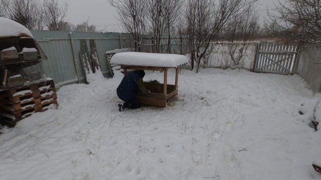 Делаю ЭТО каждое утро перед завтраком смотреть онлайн