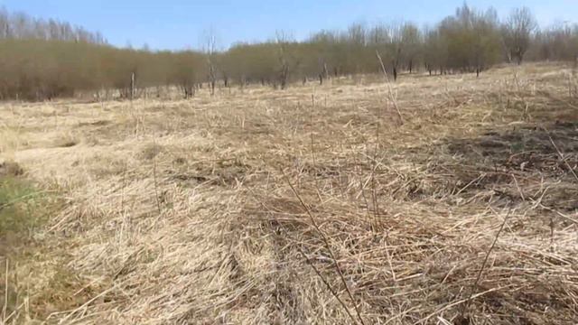 На УАЗе коп в МЕРТВОЙ деревне. Нашел Царь Колокол. смотреть онлайн