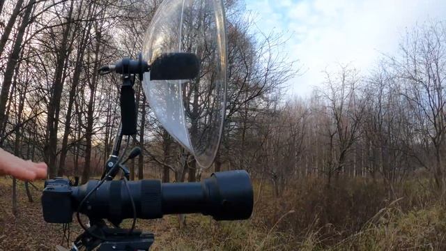 Как подключить микрофон Telinga с тарелкой к видеокамере смотреть онлайн