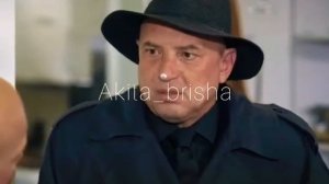 ночная бабочка ляля колобок