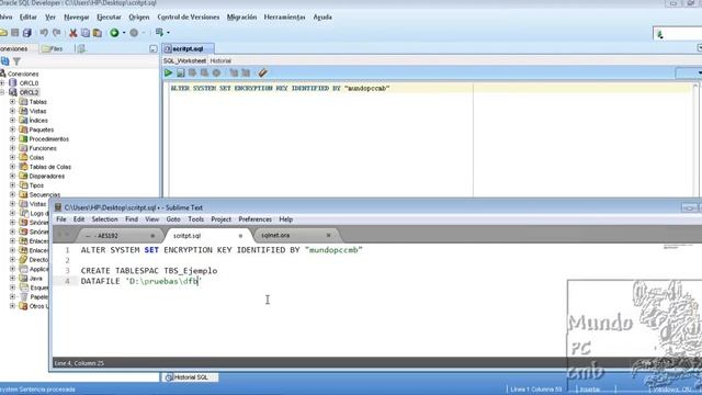 Encriptación de Tablespace en Oracle 11g смотреть онлайн