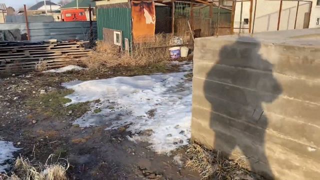 Как научить собаку не выбегать из вольера. Ротвейлер Часть 1 смотреть онлайн