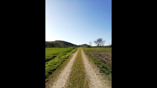 Alaya Yoga Mutilva. Pranayamas 3