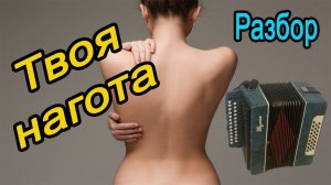 Твоя нагота   //   Разбор на гармони