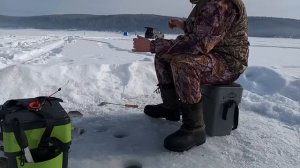 ОКУНЬ на Мормышку в начале МАРТА! НЕСКОНЧАЕМЫЙ КЛЁВ+ ГОСТИ)))