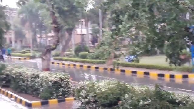 GC University Faisalabad beautiful rainy moments смотреть онлайн
