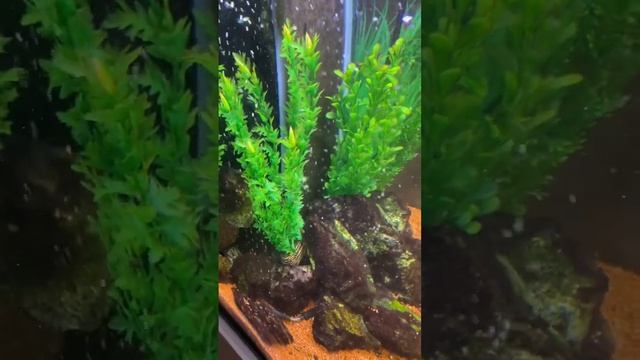 Тихий компрессор usb для аквариума смотреть онлайн