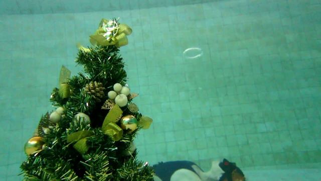 С Новым Годом! ( Щелкунчик ) смотреть онлайн