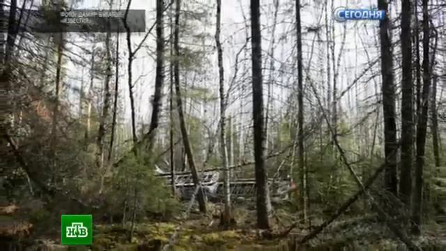 Самолет-призрак Ан-2 найден,спустя год смотреть онлайн