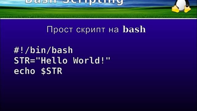 LSA - bash scripting 101 смотреть онлайн