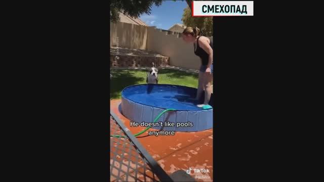 Лучшие приколы за март смотреть всем и плакать от смеха 2024 смотреть онлайн