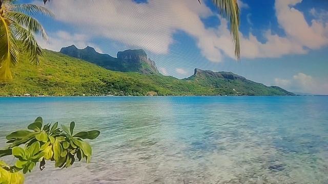 Пророческое Слово- НОВЫЕ ДВЕРИ! #viralvideo #победа #слава #сила #помазание #радость #новыедвери смотреть онлайн