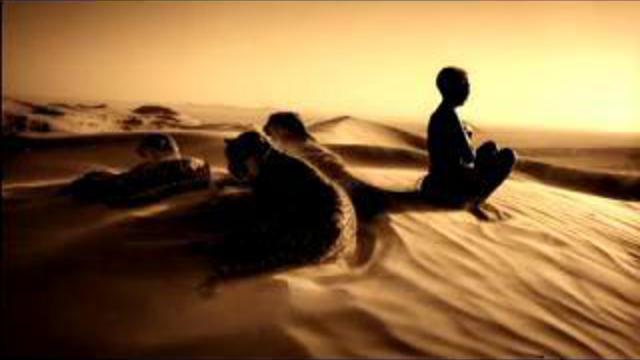 Транс. Разговор с животными. смотреть онлайн